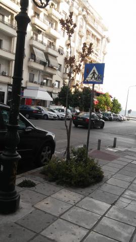 Φωτογραφία 5